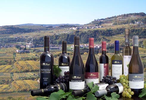 Valpolicella, la tierra del vino