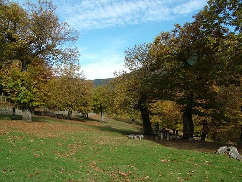Bosque Casentinesi