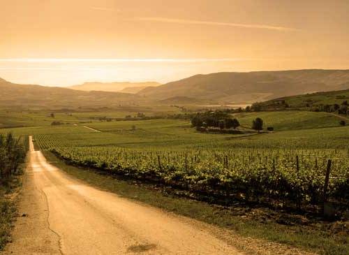 Recorrer Sicilia con sus Rutas del Vino Recorrer Sicilia con sus Rutas del Vino