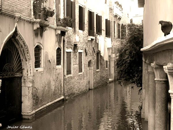 Venecia 5
