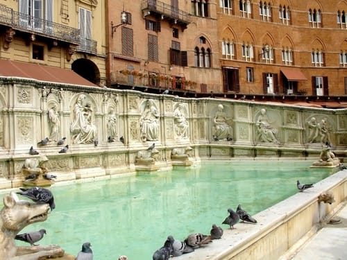 La Fonte Gaia, la más hermosa de Siena