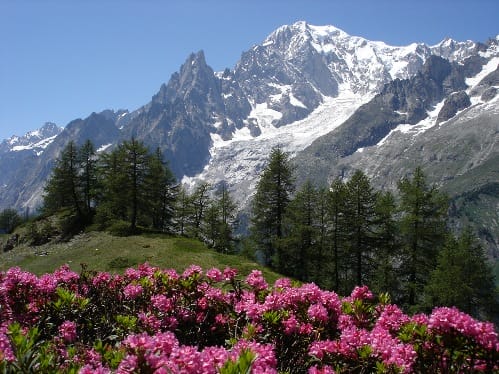 Monte Bianco, ecoturismo en Italia