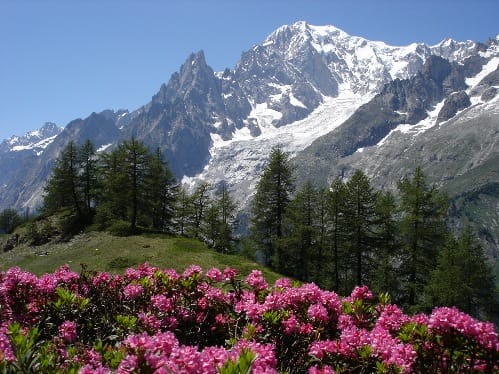 Monte Bianco, ecoturismo en Italia Monte Bianco, ecoturismo en Italia